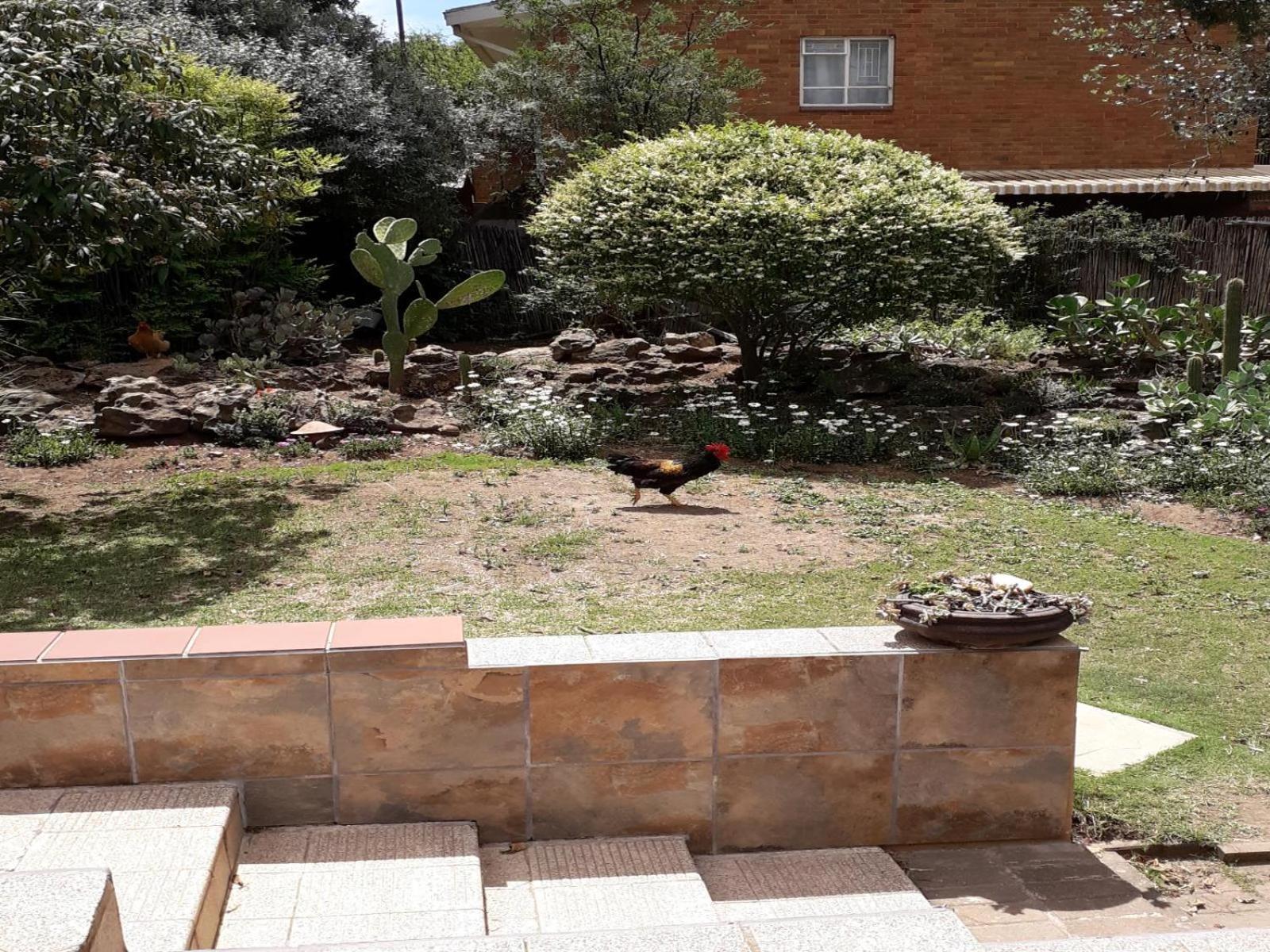Aandrus Bnb Kestell Ngoại thất bức ảnh